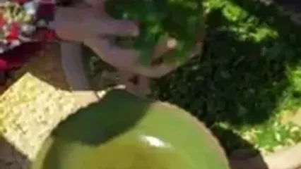 ببینید؛ غذای روستایی در ایران؛ برداشت اسفناج از مزرعه و پخت خورشت با آن در روستایی جنگلی