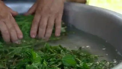 سفر به طعم غذاهای روستایی؛ دوغ تازه، سوپ ماست و نان تنوری آذربایجان