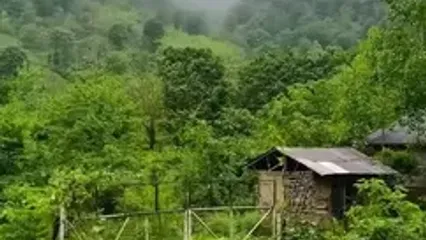 شفت، زیبایی سرسبز گیلان