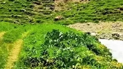 ۵ مقصد خنک و خوش آب و هوا اطراف کرج