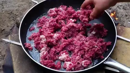 غذاهای سنتی آذربایجان؛ طرز تهیه دلمه کلم و بادمجان در سبک روستایی
