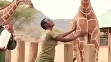 فیلم دوستی بامزه بچه فیل‌ها با محیطبانان کنیا