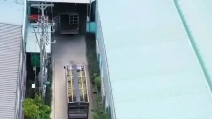 ببینید؛ ژل آلوئه ورا چگونه تولید می شود؟