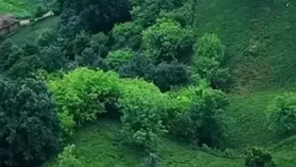 فیلم آرامش و سرسبزی در کتشال لاهیجان