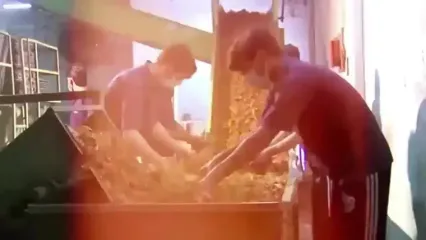 ببییند| سیگار چگونه در کارخانه های آمریکای جنوبی تولید و بسته بندی می شود؟