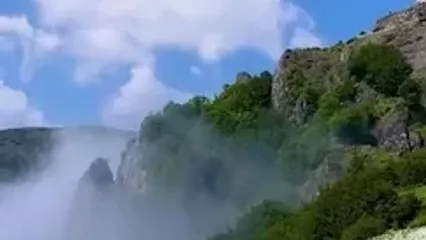 فیلم چشم‌انداز رویایی بابونه‌ها در آستارا