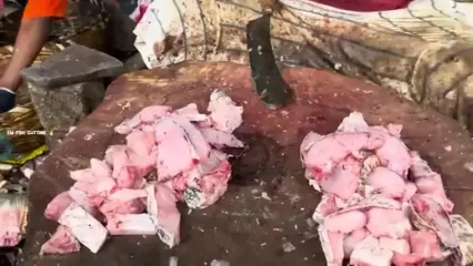 ببینید؛ برش زدن ماهرانه ماهی باراماندی توسط ماهی فروش هندی در کنار خیابان