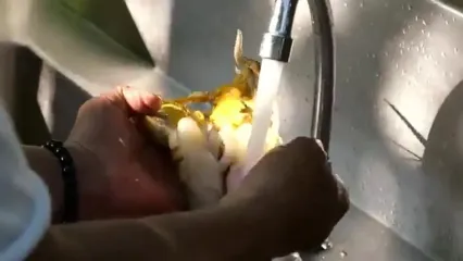غذای خیابانی در تایلند؛ تهیه سالاد پوملو با میگوی کبابی در بانکوک