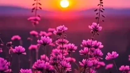 فال ابجد عشق 17 شهریور