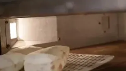 فال ابجد 16 شهریور