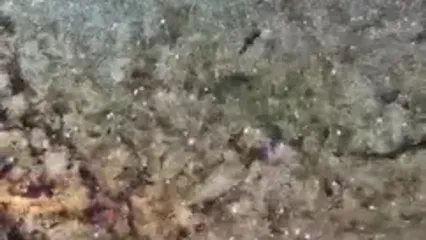 ببینید؛ تصاویری زیبا از شب مریخ