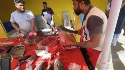 صید و برش زدن کوسه ماکوی غول پیکر در سریلانکا
