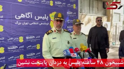 شبیخون 48 ساعته پلیس به دزدان پایتخت نشین / 270 سارق دستگیر شدند