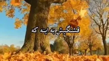 فال حافظ متولدین هر ماه در 6 مهر 1404