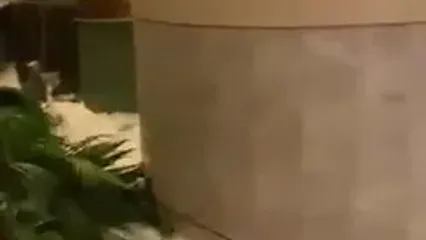 ببینید؛ آماده‌باش چین پس از مرگبار شدن طوفان در تایوان