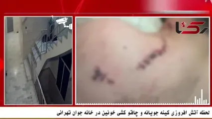 فیلم لحظه آتش افروزی کینه جویانه و چاقو کشی خونین در خانه جوان تهرانی / در خانه بودیم که ...