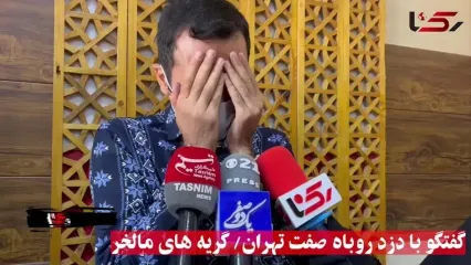 گفتگو با دزد روباه صفت تهران / از سایت دیوار شکارهایم را انتخاب می کردم / مالخر با گریه .. نمی دانستم اموال ها سرقتی است