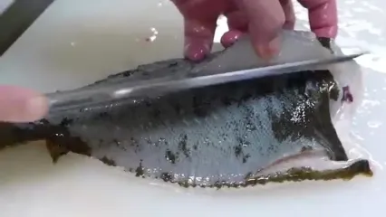 غذای خیابانی در ژاپن؛ تهیه سوشی با ماهی گروپر قرمز، ماکرل و فلاندر در توکیو