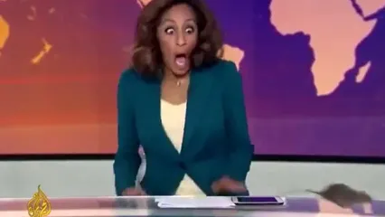 وحشت مجری زن تلویزیون از حضور موش در پخش زنده!