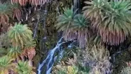 فیلم مناظر رویایی آبشار فدامی در استان فارس