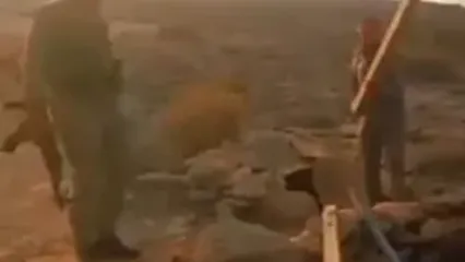 دستگیری ۶ متخلف و رهاسازی ده‌ها پرنده توسط محیط زیست هرمزگان