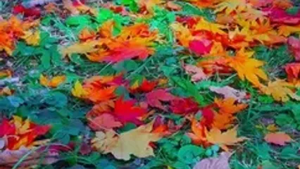 فال حافظ امروز 28 مهر
