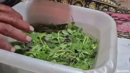 غذای روستایی در ایران؛ پخت سالاد الویه به روش یک زوج روستایی