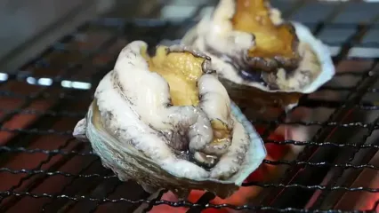 غذای خیابانی در ژاپن؛ تهیه دو غذای محبوب با حلزون دریایی آبلون در اوکیناوا