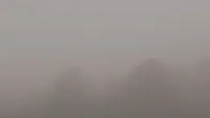 مه شدید پاییزی در سواحل گیلان