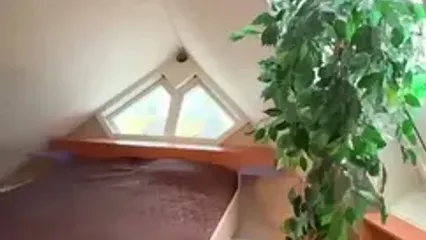 ببینید؛ خانه‌های مکعبی روتردام؛ آیا حاضر به زندگی در این شاهکار معماری پیتر بلوم هستید؟
