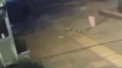 پایان عربدکشی خیابانی در تهرانپارس با عملیات پلیس