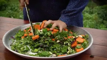 ببینید؛ غذای روستایی در ایران؛ تهیه ترشی بادمجان شکم پر با سبزیجات معطر