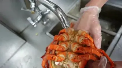 غذای خیابانی در آمریکا؛ تهیه سالاد با لابستر بزرگ و دراگون فروت در نیویورک