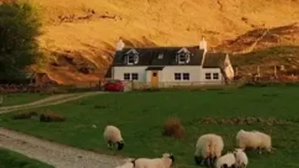 فیلم چریدن بره‌ها در یکی از دره های اسکاتلند
