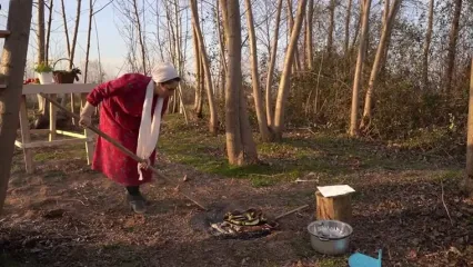 غذای روستایی در ایران؛ پخت دلمه بادمجان در جنگل