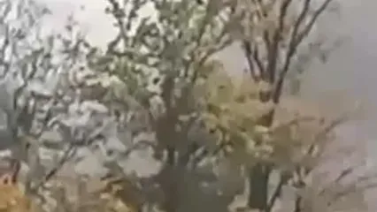 ماجرای انفجار مهیب در منطقه شکار ممنوع سوادکوه چه بود؟