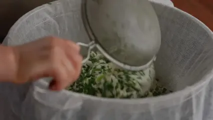 غذای روستایی در آذربایجان؛ تهیه 3 نوع پنیر با شیر بز، گوسفند و گاو