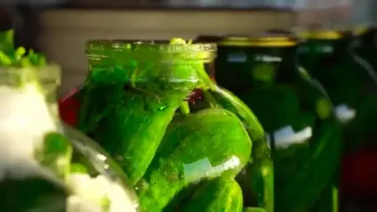 غذای روستایی در روسیه؛ تهیه ترشی با خیار، گوجه و فلفل توسط زوج داغستانی