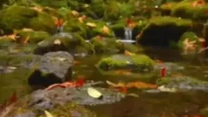 فال ابجد 8 آبان