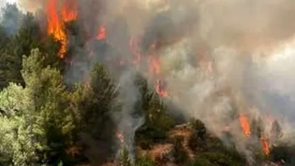 آتش‌سوزی گسترده در جنگل‌های ایلام