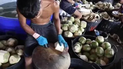 مراحل برداشت، برش، فرآوری و بسته بندی نارگیل در تایلند