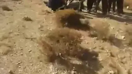 تصاویری‌ از محل حادثه سقوط‌ اتوبوس در محور دماوند-فیروزکوه