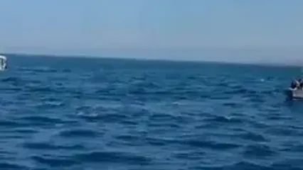 حرکت نمادین مردم ترکیه در حمایت از ناوگان پایداری
