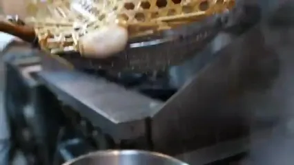 غذای خیابانی در آمریکا؛ مرغ شکم پر در نیویورک