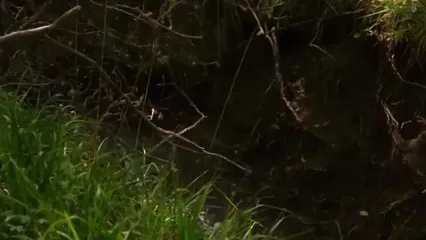 غذای روستایی در آذربایجان؛ تهیه رب گوجه به روش سنتی