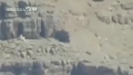 ببینید؛ ثبت لحظه زادآوری پرنده افسانه‌ای هما برای اولین بار در منطقه حفاظت‌شده قیصری