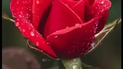 نیت کن و فال حافظ 25 مهر را بخوان