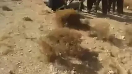 اولیم تصویر اورژانس از صحنه واژگونی اتوبوس در جاده فیروزکوه