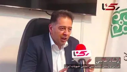 پشت پرده بحران حبوبات در کشور؛ واردات دست قاچاقیان و خصولتی ها افتاد / ارز و سهمیه واردات فعالان واقعی کجا رفت؟