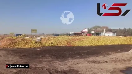 دریاچه‌ای که تشنه مرد، تا سیب‌ها سیراب بمانند/ الگوی کشت در ایران، قاتل است !